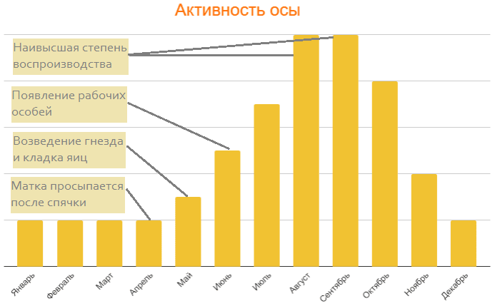 Периоды активности ос